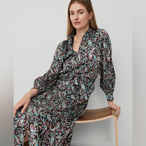 NWT Ann Taylor Midi Long Sleeve Floral Paisley Belted Buttoned Shirtdress - Picture 4 of 14